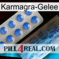 Karmagra Jelly 40